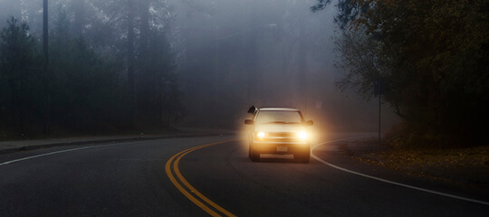 Car driving through the woods in the fog.