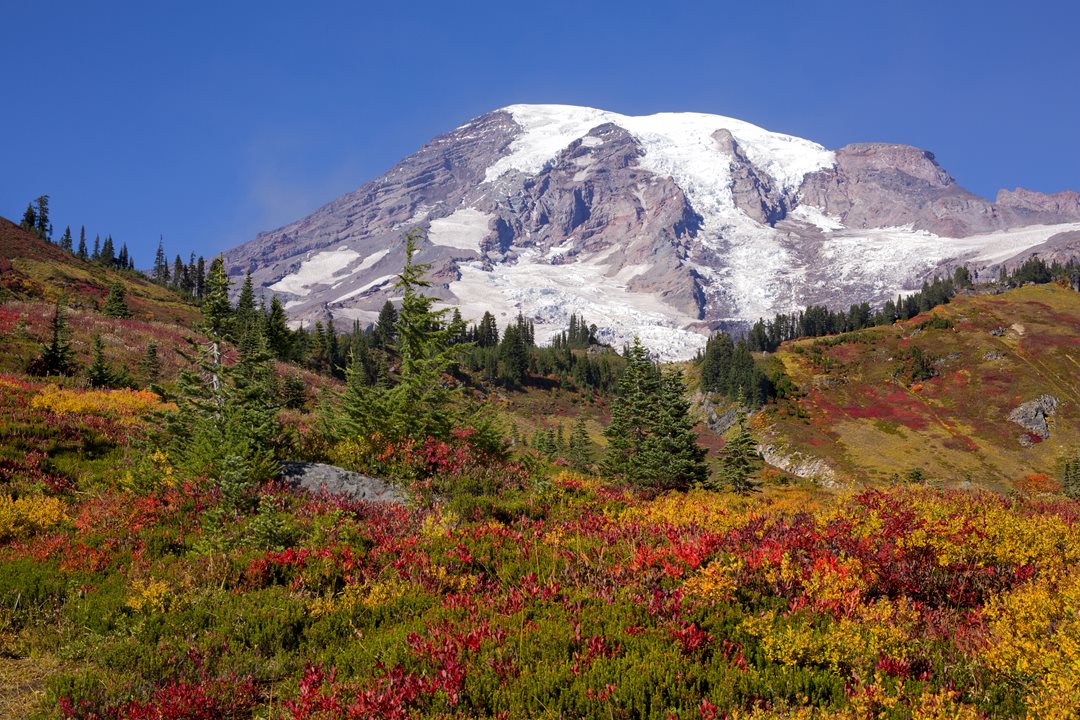 GettyImages-1280249360.jpg GettyImages-1280249360.jpg