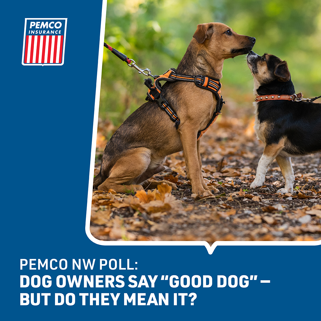 Sit, stay… or not? How PNW dog owners really see their pups 