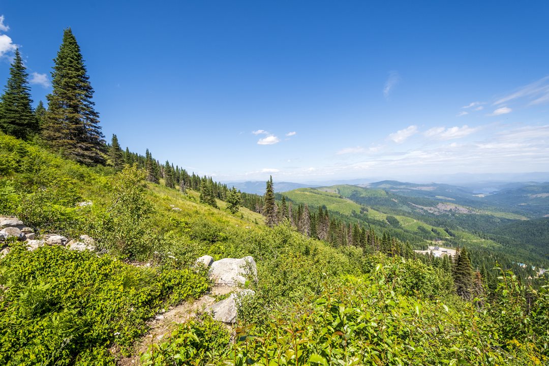 GettyImages-1469330104.jpg