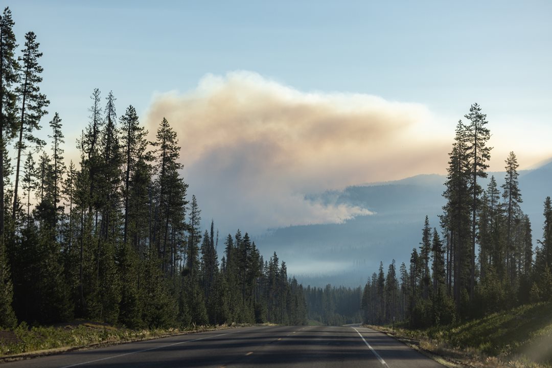 What's driving wildfire risk? | PEMCO