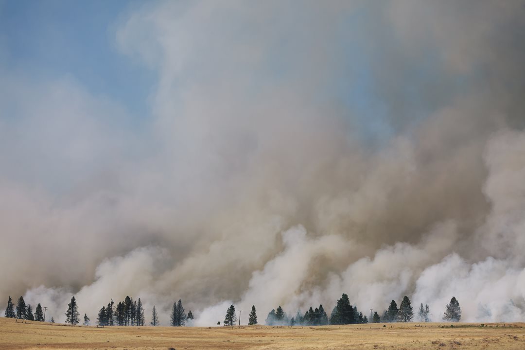 Your wildfire plan: What to know and do now | PEMCO