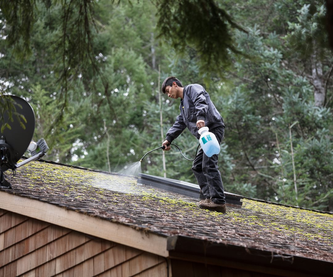 Moss on your roof? Here’s why spring maintenance matters | PEMCO 