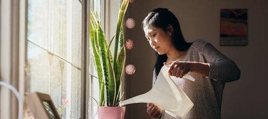 Woman watering plants.