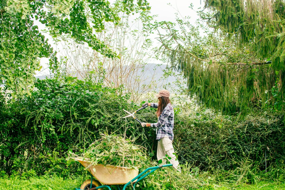Wildfire preparation: What to do before the season starts | PEMCO