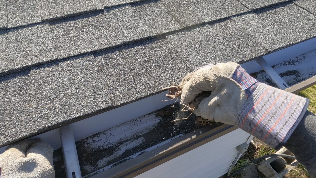 How to Prepare Your Home for a Windstorm | PEMCO