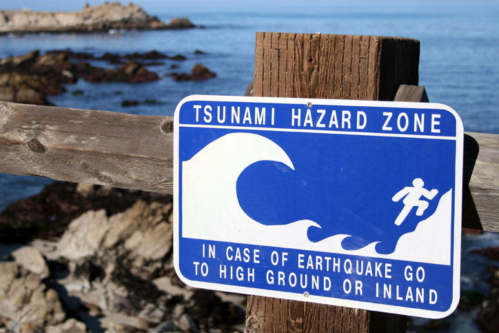 Earthquake and tsunami insurance