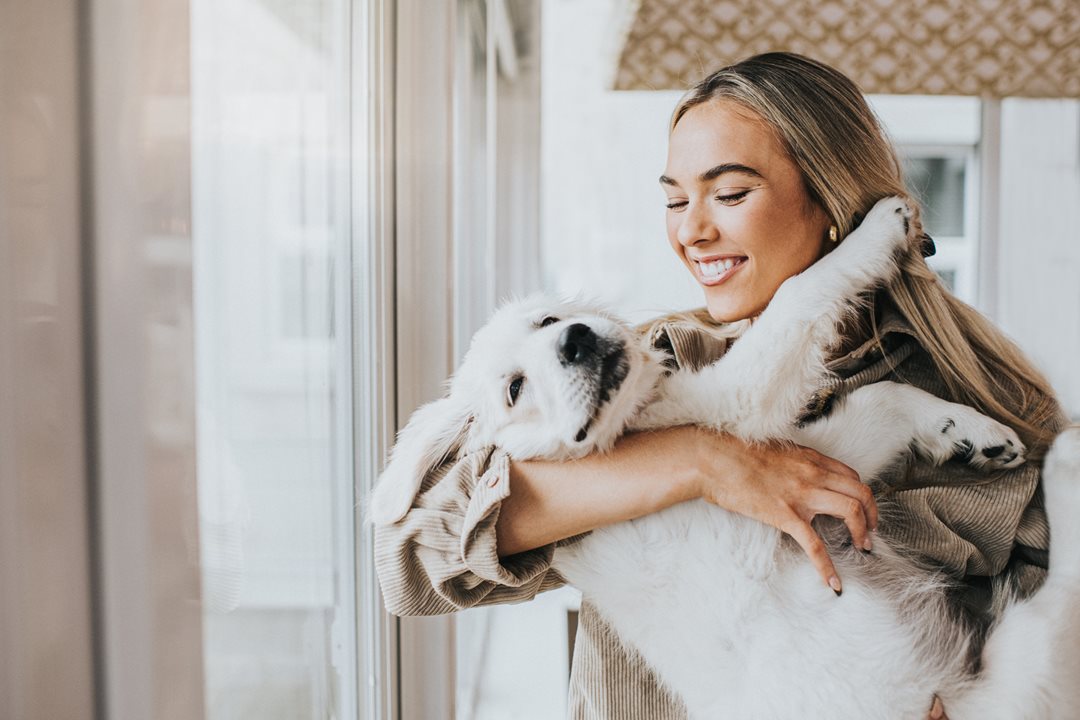 What is pet insurance and why do you need it? | PEMCO
