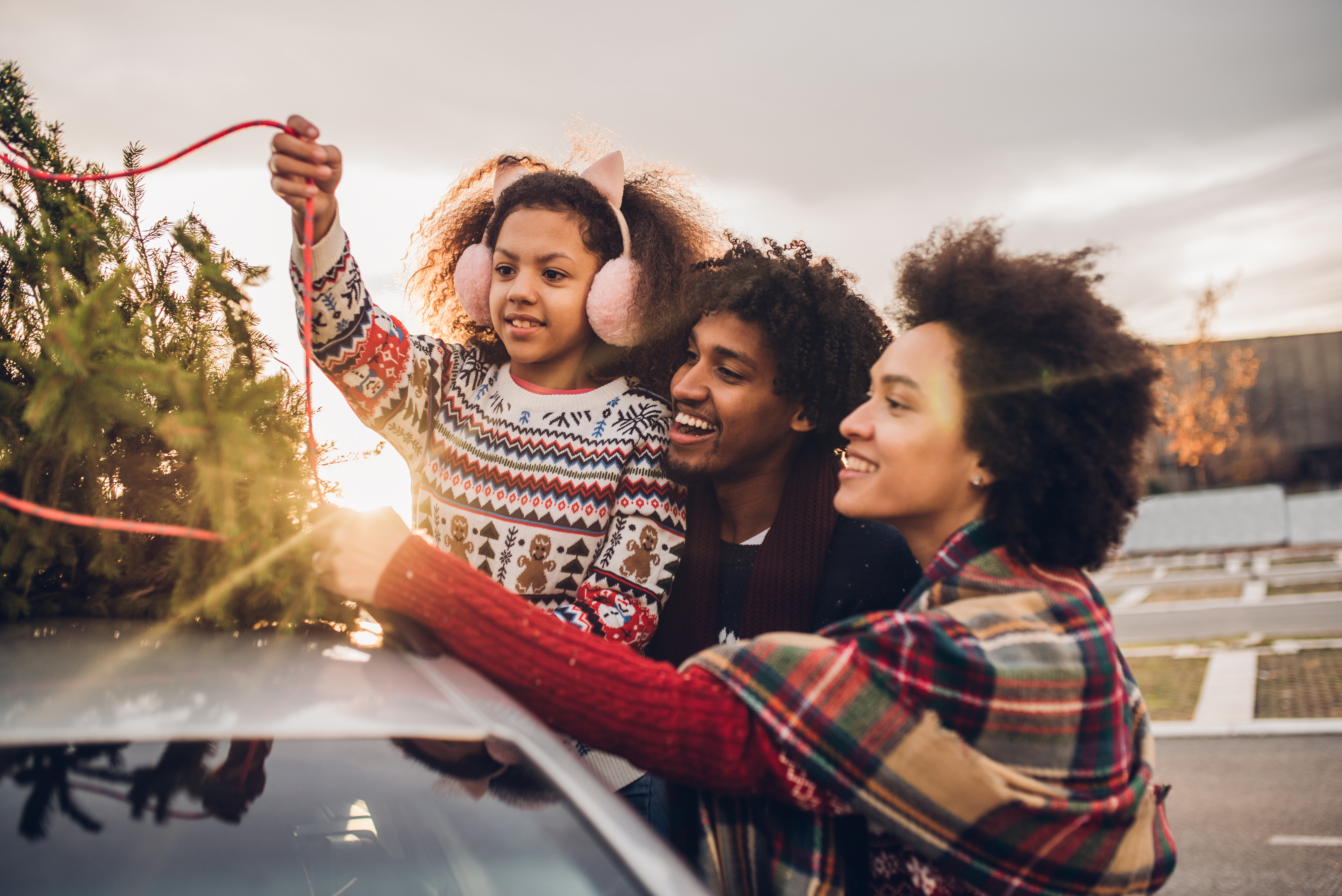 Choosing the perfect holiday tree starts with safety