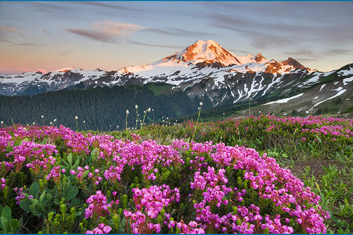 Top Pacific Northwest spring road trip ideas | PEMCO