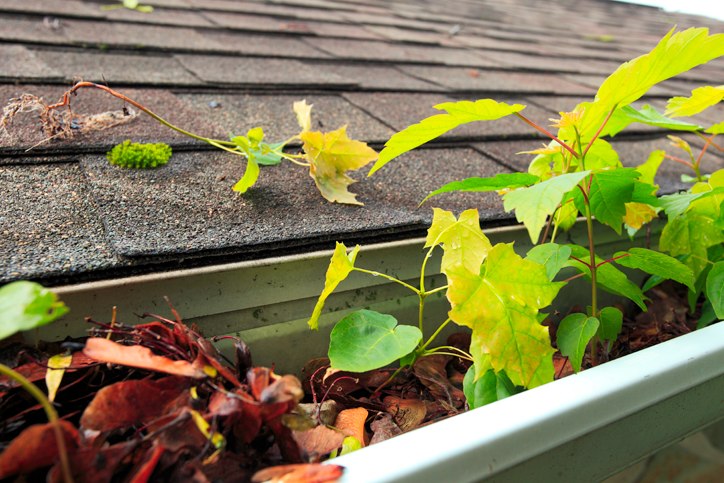 Your spring home maintenance checklist