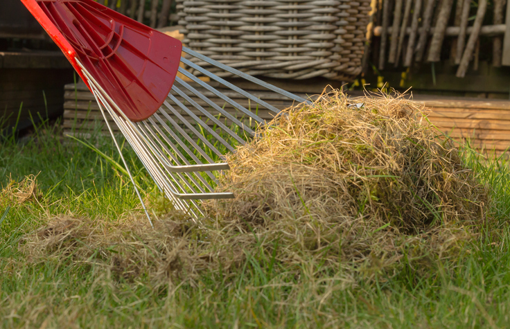 A wet spring doesn’t eliminate need for wildfire prep 