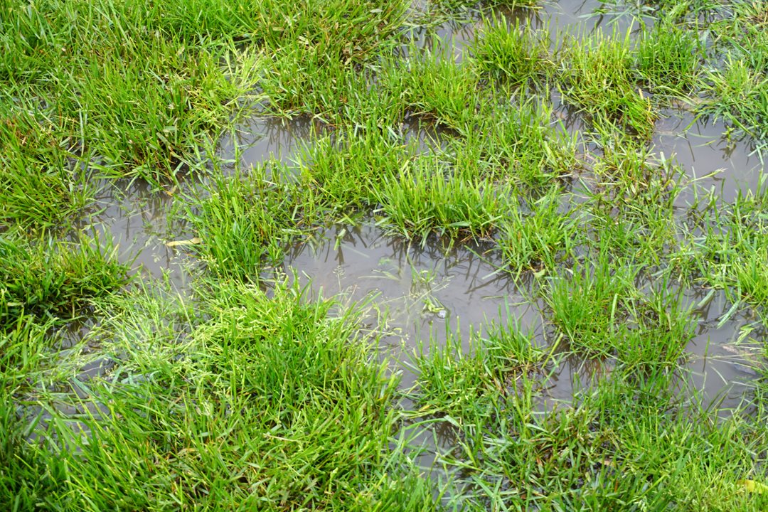 Landscaping tips to prevent flooding