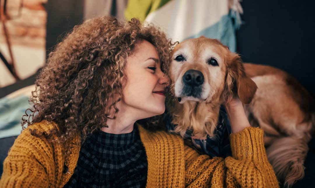 Protect your beloved pets with licensing